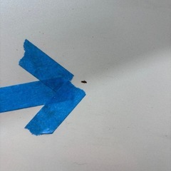 ミライースLA350Sの画像