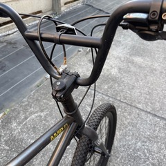 Tern AMP F1 460 ミニベロの画像