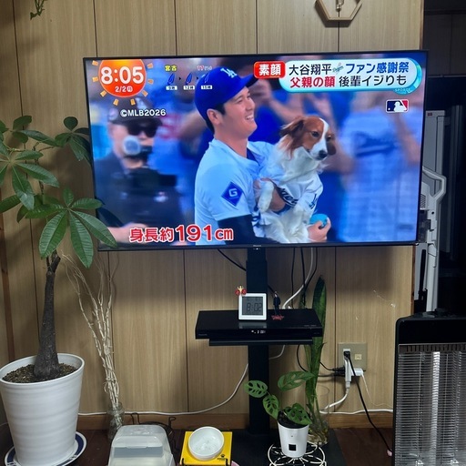 ハイセンス50
