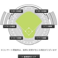 最終価格！【通路側及び後ろも通路の2連席】3/3オープン戦　ソフトバンクホークスVS東京ヤクルト　1塁側　6通路付近　A指定席の画像