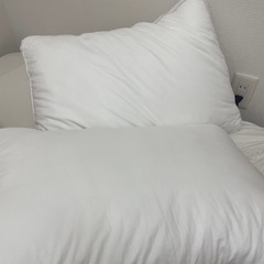 2/11.14.15取りに来れる方優先！枕2個セットの画像