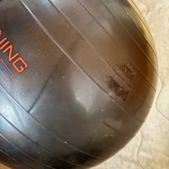 バランスボール　の画像