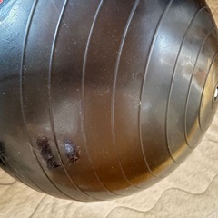 バランスボール　の画像