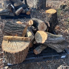 広葉樹の薪材を購入して頂けませんかの画像