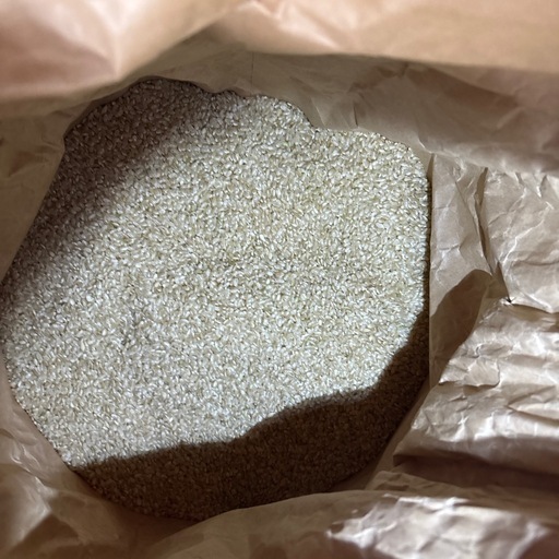 令和七年度産 北条産玄米30キロ