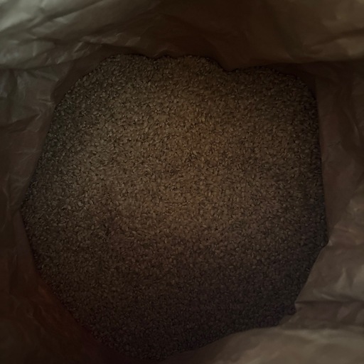 令和七年度産 北条産玄米30キロ
