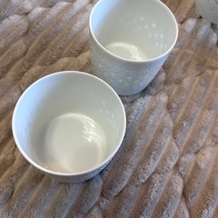 白山陶器 レリーフホタル ロックカップ 2つの画像