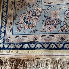 じゅうたんの画像