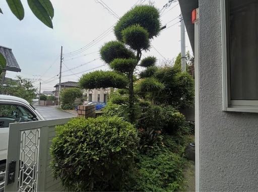 堺市・大阪狭山市・富田林市｜草刈り・剪定・防草シート承ります（造園経験）