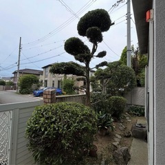 堺市・大阪狭山市・富田林市｜草刈り・剪定・防草シート承ります（造園経験）の画像