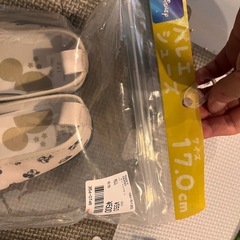 ディズニー　新品上履き2足16.0 17.0の画像