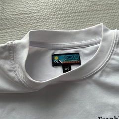 Franklin Climbing Tシャツの画像