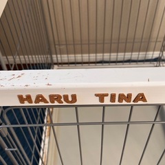 トイレが仕切れる ペットケージ  の画像