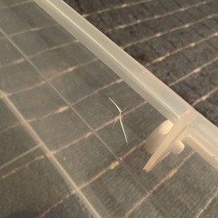 プラ収納ケース‼️の画像