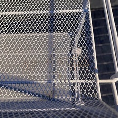 ワゴンラック‼️の画像