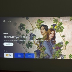 EPSON dreamio EF-21G [スモークアイスグリーン]の画像