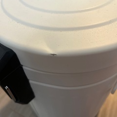 クリーム色/ナチュラルカラー/ゴミ箱の画像