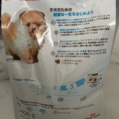 子犬用ドックフードの画像