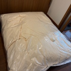 【良品】羽毛布団(本日取引優先・値段交渉可)の画像