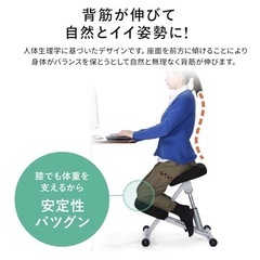 バランスチェア ガス圧昇降タイプ 100-SNC038の画像