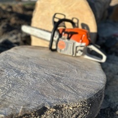 未乾燥薪　広葉樹　空いた薪棚に！の画像