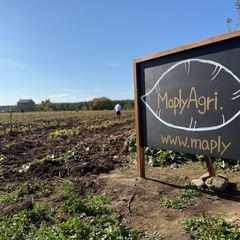想いをつなぐ干し芋｜農福連携 Maply Goldの画像