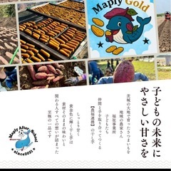 想いをつなぐ干し芋｜農福連携 Maply Goldの画像