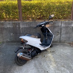 ホンダ　ライブディオ／八王子市の画像