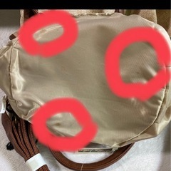 レイクアルスターカバンの画像