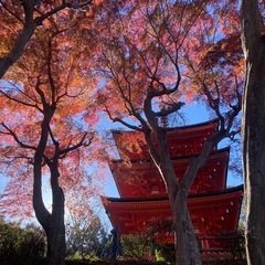 国内旅行好きな方やりとりしませんか！？