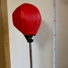 パンチングボールの画像