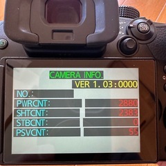 Panasonic LUMIX GH5S 本体　ミラーレス一眼の画像