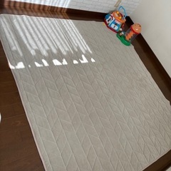 カインズ　ラグマット　2枚の画像