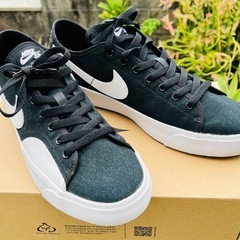 NIKE スケートボードシューズの画像