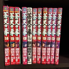 蒼天の拳1-22(17と19が2巻ある)完結の画像
