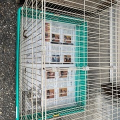 小動物用　ゲージの画像