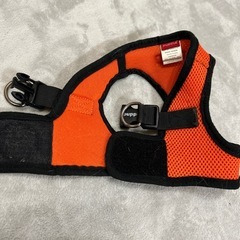 犬のハーネスの画像