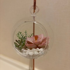 Francfranc ガラステラリウムの画像