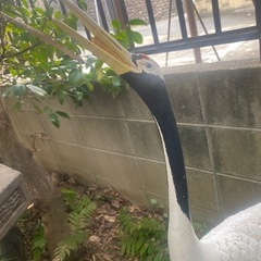 タンチョウ　鶴　置物　縁起物　　90cm 50cmの画像