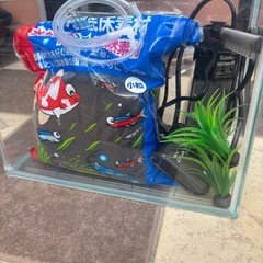 水槽セットの画像