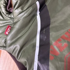 あったか可愛い　犬　洋服の画像