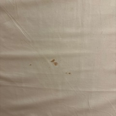 ※取引済みの画像