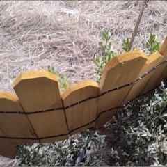 中古天然木製のミニガーデンフェンス6枚セットの画像