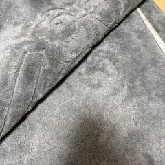 【新品未使用】電気カーペット　2.5畳の画像