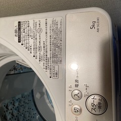 東芝 全自動洗濯機 5kg(2/15まで)の画像