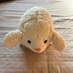 ぬいぐるみの画像