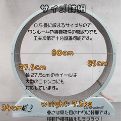 　キャットホイールの画像