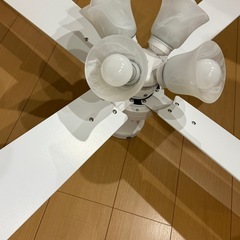 シーリングライトファンの画像