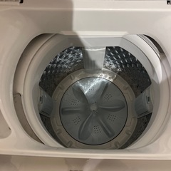 綺麗ですの画像