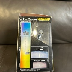 カーメイト GIGA デュアルクス クールスカイ 6700K D4R/Sバーナーの画像